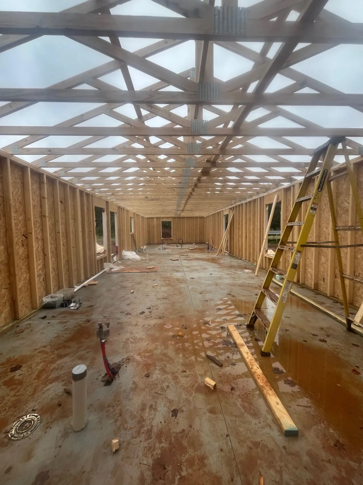 Interior view of wall studs and open roof trusses over a concrete slab